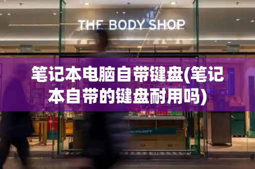 笔记本电脑自带键盘(笔记本自带的键盘耐用吗)-第1张图片-星选测评