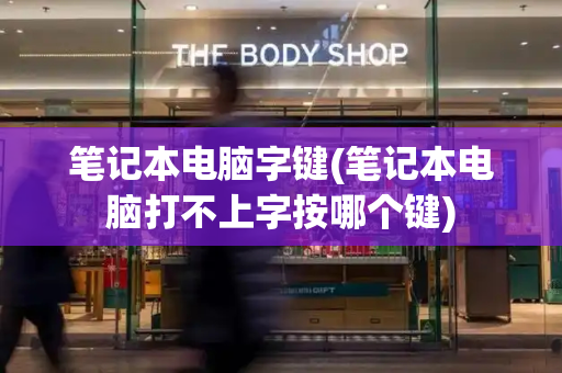 笔记本电脑字键(笔记本电脑打不上字按哪个键)-第1张图片-星选测评