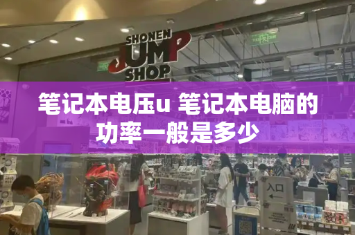 笔记本电压u 笔记本电脑的功率一般是多少