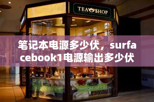 笔记本电源多少伏，surfacebook1电源输出多少伏