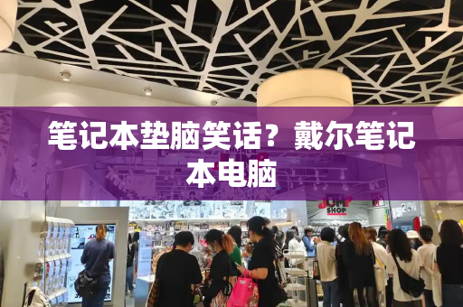 笔记本垫脑笑话？戴尔笔记本电脑-第1张图片-星选测评