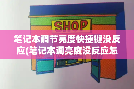 笔记本调节亮度快捷键没反应(笔记本调亮度没反应怎么办)