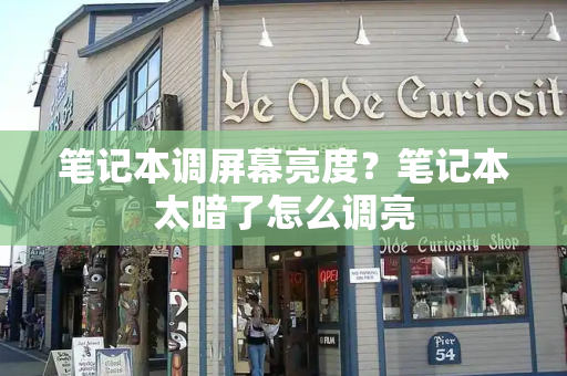 笔记本调屏幕亮度？笔记本太暗了怎么调亮-第1张图片-星选测评