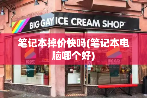 笔记本掉价快吗(笔记本电脑哪个好)