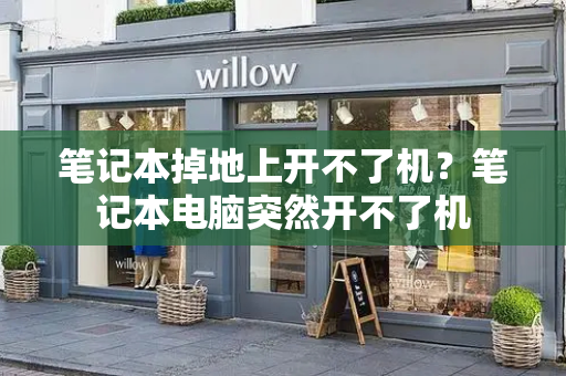 笔记本掉地上开不了机？笔记本电脑突然开不了机-第1张图片-星选测评