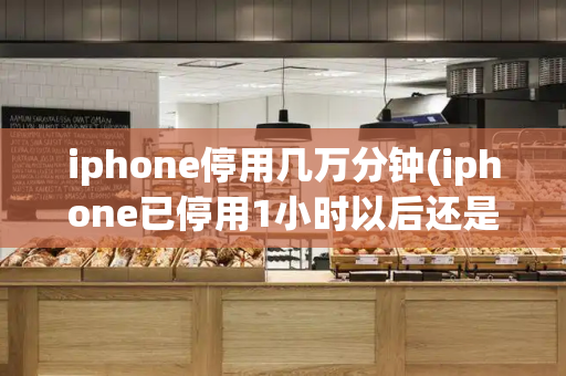 iphone停用几万分钟(iphone已停用1小时以后还是1小时吗)