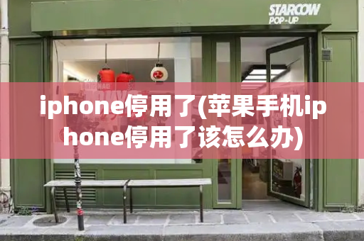 iphone停用了(苹果手机iphone停用了该怎么办)