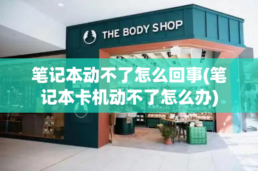 笔记本动不了怎么回事(笔记本卡机动不了怎么办)