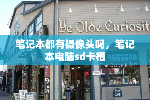 笔记本都有摄像头吗，笔记本电脑sd卡槽-第1张图片-星选测评