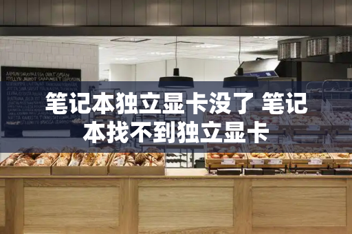 笔记本独立显卡没了 笔记本找不到独立显卡