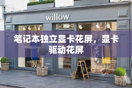 笔记本独立显卡花屏，显卡驱动花屏-第1张图片-星选测评