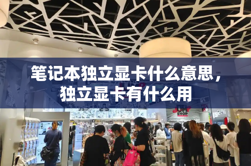 笔记本独立显卡什么意思，独立显卡有什么用-第1张图片-星选测评
