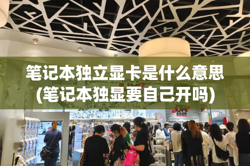笔记本独立显卡是什么意思(笔记本独显要自己开吗)