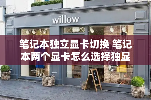 笔记本独立显卡切换 笔记本两个显卡怎么选择独显-第1张图片-星选测评