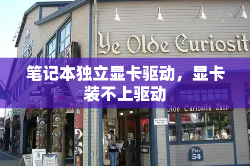 笔记本独立显卡驱动，显卡装不上驱动-第1张图片-星选测评