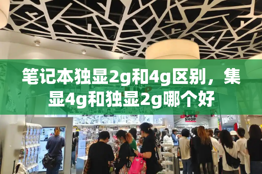 笔记本独显2g和4g区别，集显4g和独显2g哪个好