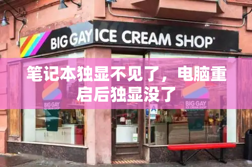 笔记本独显不见了，电脑重启后独显没了-第1张图片-星选测评