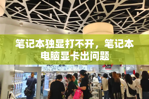 笔记本独显打不开，笔记本电脑显卡出问题