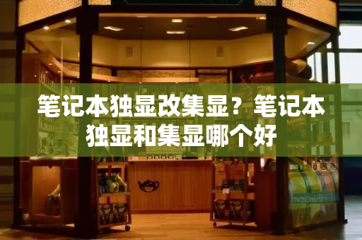 笔记本独显改集显？笔记本独显和集显哪个好-第1张图片-星选测评