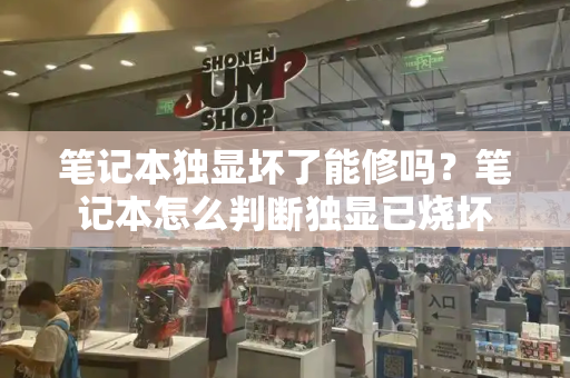 笔记本独显坏了能修吗？笔记本怎么判断独显已烧坏-第1张图片-星选测评