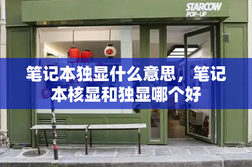 笔记本独显什么意思，笔记本核显和独显哪个好