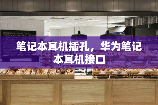 笔记本耳机插孔，华为笔记本耳机接口-第1张图片-星选测评