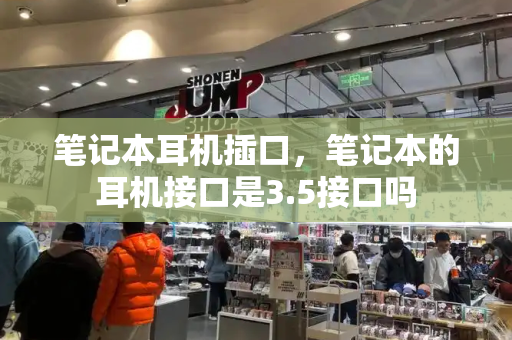 笔记本耳机插口，笔记本的耳机接口是3.5接口吗-第1张图片-星选测评
