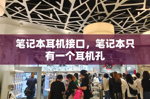 笔记本耳机接口，笔记本只有一个耳机孔