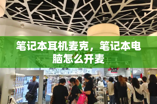 笔记本耳机麦克，笔记本电脑怎么开麦
