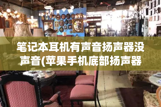 笔记本耳机有声音扬声器没声音(苹果手机底部扬声器没有声音)