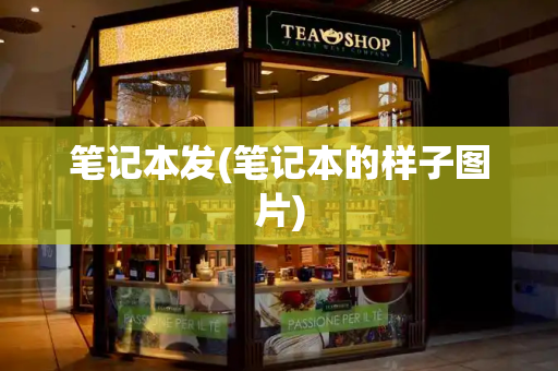笔记本发(笔记本的样子图片)
