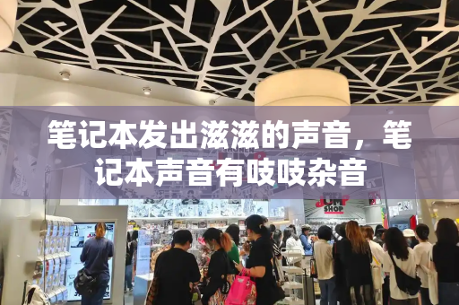 笔记本发出滋滋的声音，笔记本声音有吱吱杂音