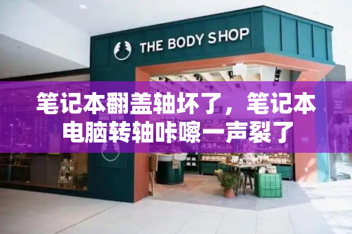 笔记本翻盖轴坏了，笔记本电脑转轴咔嚓一声裂了-第1张图片-星选测评
