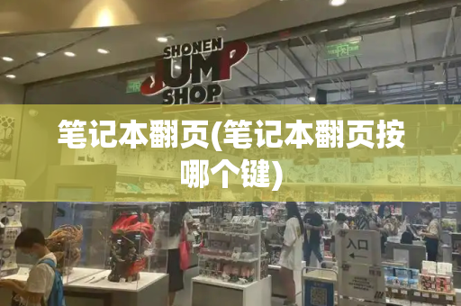 笔记本翻页(笔记本翻页按哪个键)-第1张图片-星选测评