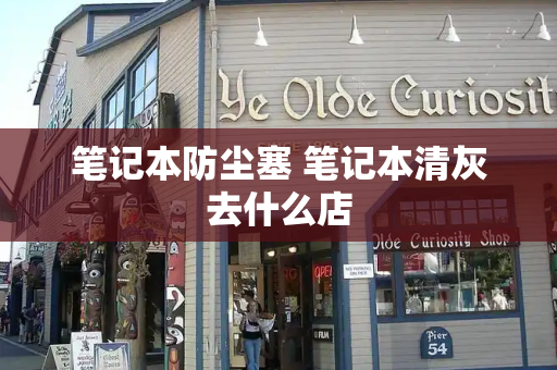 笔记本防尘塞 笔记本清灰去什么店-第1张图片-星选测评
