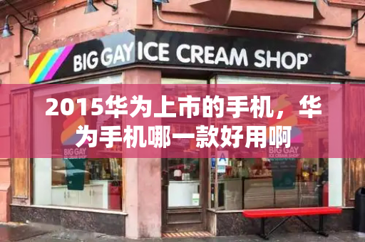 2015华为上市的手机，华为手机哪一款好用啊