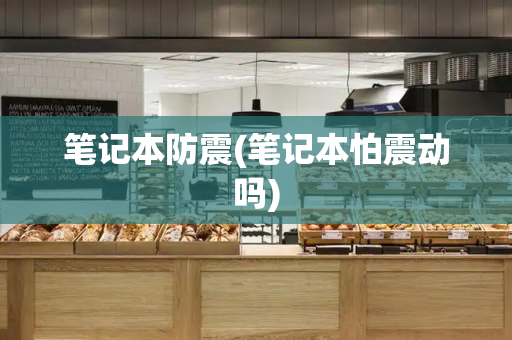 笔记本防震(笔记本怕震动吗)
