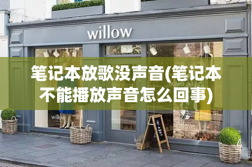 笔记本放歌没声音(笔记本不能播放声音怎么回事)