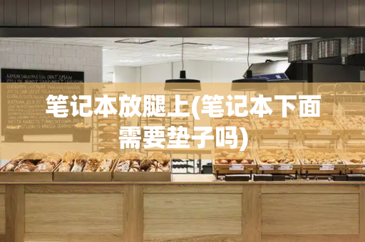 笔记本放腿上(笔记本下面需要垫子吗)