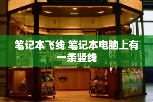 笔记本飞线 笔记本电脑上有一条竖线-第1张图片-星选测评