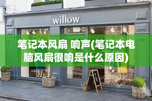 笔记本风扇 响声(笔记本电脑风扇很响是什么原因)