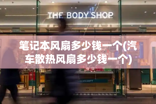 笔记本风扇多少钱一个(汽车散热风扇多少钱一个)