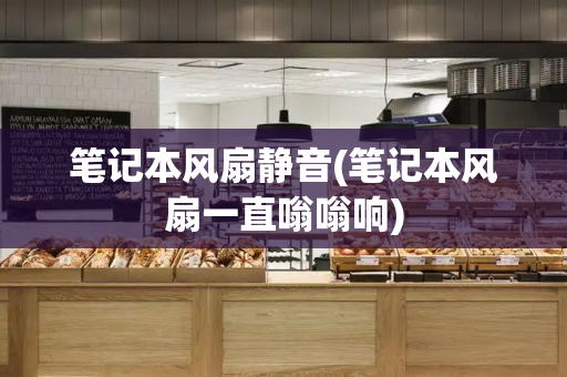 笔记本风扇静音(笔记本风扇一直嗡嗡响)