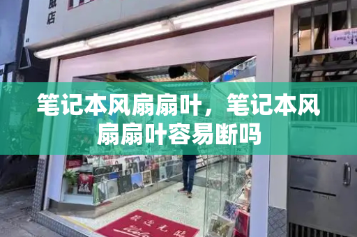 笔记本风扇扇叶，笔记本风扇扇叶容易断吗-第1张图片-星选测评