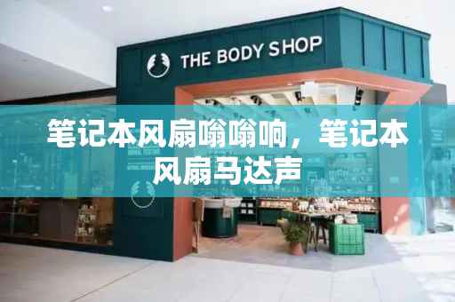 笔记本风扇嗡嗡响，笔记本风扇马达声-第1张图片-星选测评