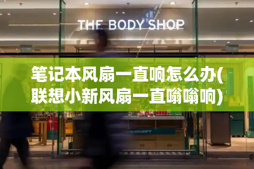 笔记本风扇一直响怎么办(联想小新风扇一直嗡嗡响)