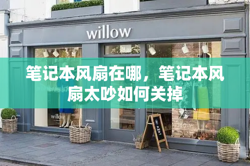 笔记本风扇在哪，笔记本风扇太吵如何关掉-第1张图片-星选测评