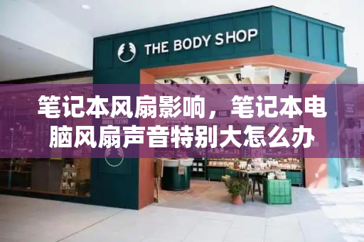 笔记本风扇影响，笔记本电脑风扇声音特别大怎么办-第1张图片-星选测评