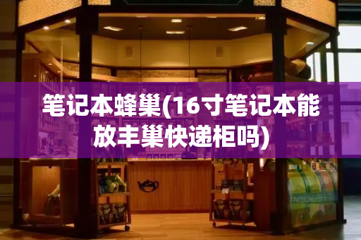笔记本蜂巢(16寸笔记本能放丰巢快递柜吗)-第1张图片-星选测评