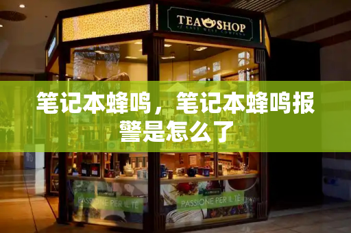 笔记本蜂鸣，笔记本蜂鸣报警是怎么了-第1张图片-星选测评